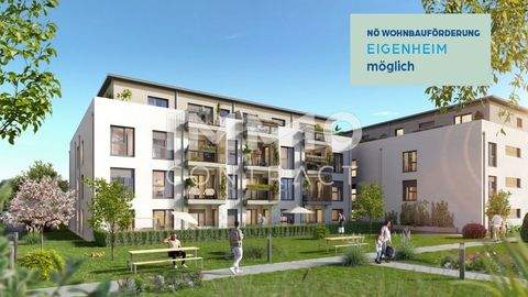 Ober-Grafendorf Wohnungen, Ober-Grafendorf Wohnung kaufen