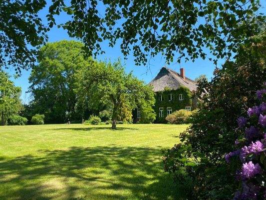 Blick auf das Haus von hinten