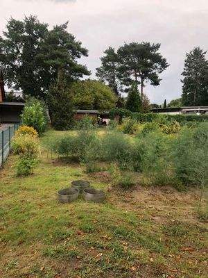 0ba8147d-5258-4cf5-9f1e-3ca93f35e917-1983063138