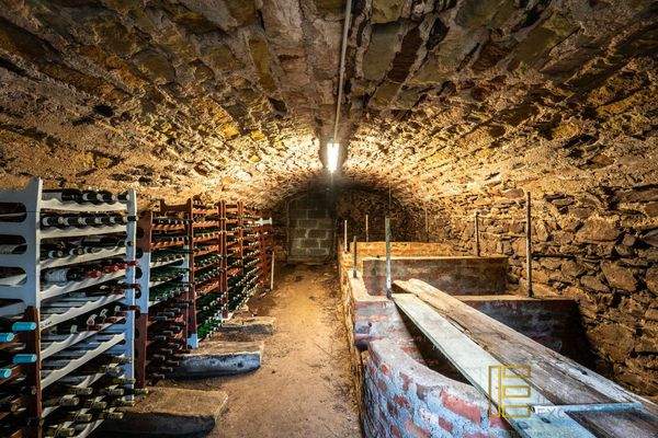 Weinkeller unter dem Schuppen