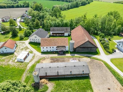 Reichersberg Bauernhöfe, Landwirtschaft, Reichersberg Forstwirtschaft