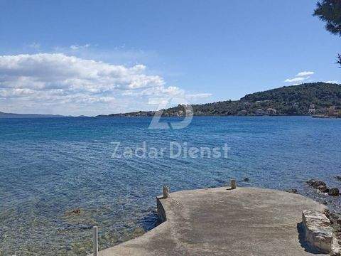 Iz - Rava Bauernhöfe, Landwirtschaft, Iz - Rava Forstwirtschaft