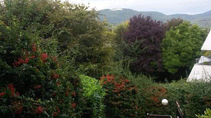 Blick auf den Petersberg