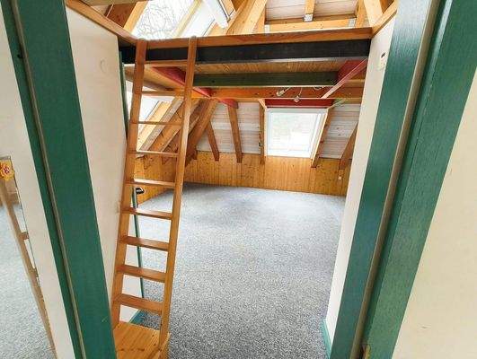 DG mit Leiter zur Plattform