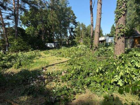 Grünheide (Mark) Grundstücke, Grünheide (Mark) Grundstück kaufen
