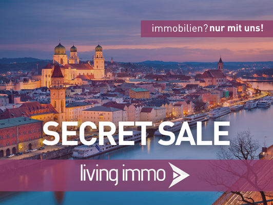 Vorlage Startbild Normal Logo und Fenster living immo Farbe(33)