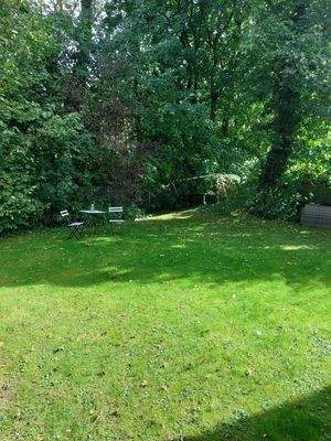 Der Garten im Sommer