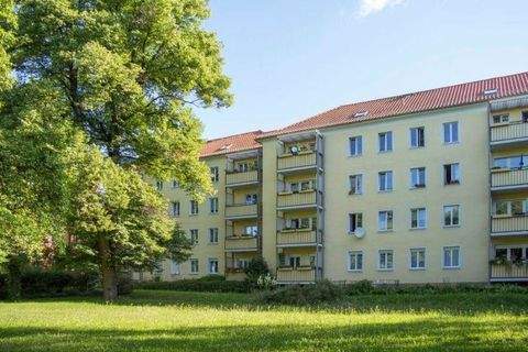 Dresden Wohnungen, Dresden Wohnung mieten