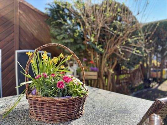 Der Garten wartet auf Sie