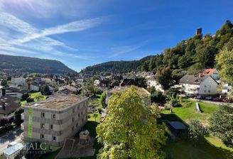 Der Schwarzwald liegt vor der Haustür