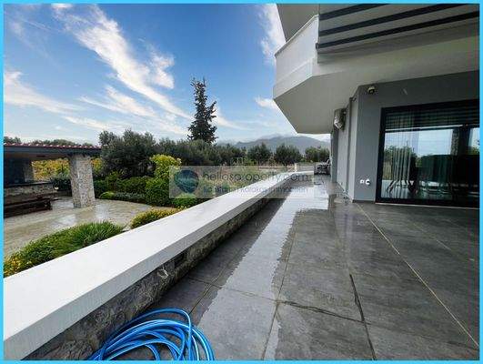 b6b198a3a605460399bc98684eda3501-original