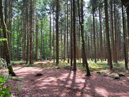 Traumhafte Spaziergänge