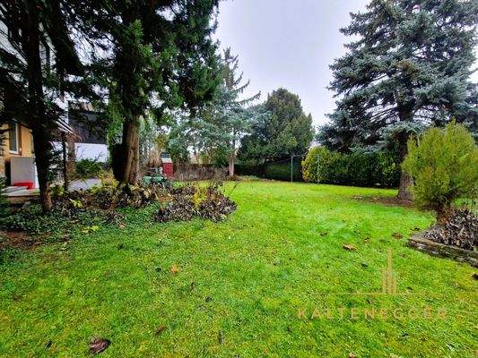 Gartenfläche hinter dem Haus