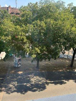 PHOTO-2025-07-22-19-08-35 12.jpg