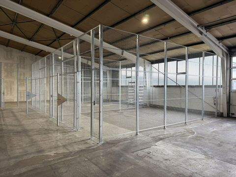 Walldorf Halle, Walldorf Hallenfläche