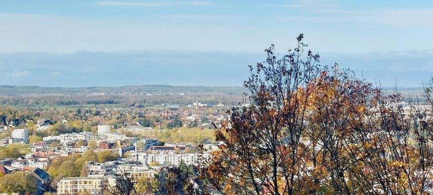 Schlossberg Freiburg