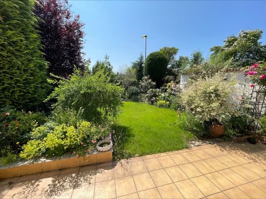 Blick in den Garten