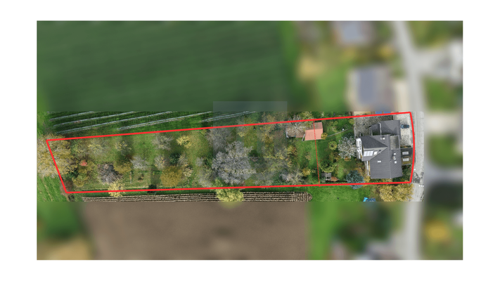 Draufsicht Fläche gesamt