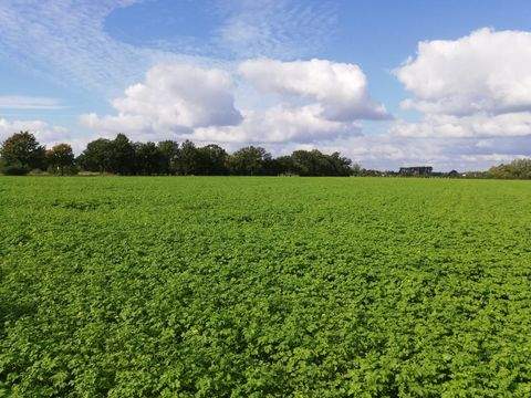 Wolmirstedt Bauernhöfe, Landwirtschaft, Wolmirstedt Forstwirtschaft