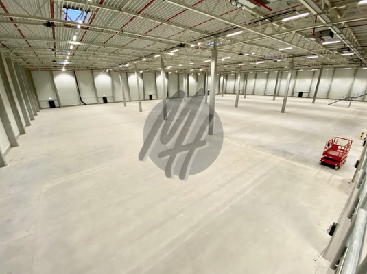 INFOS UNTER: 06171-586000