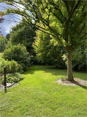 Peter Dondorf Immobilien - Garten