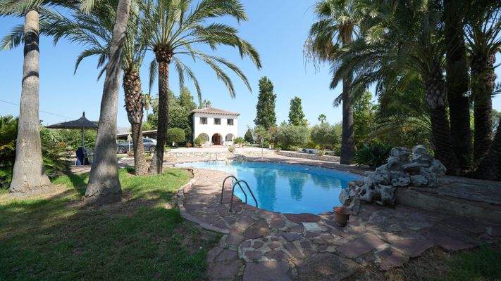 Immobilie in Pedreguer