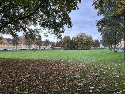 Grünfläche Grüner Grund