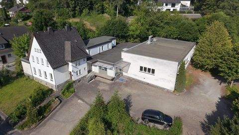 Sundern Halle, Sundern Hallenfläche