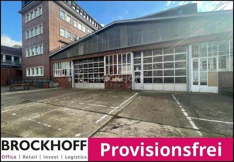 Mülheim Halle, Mülheim Hallenfläche