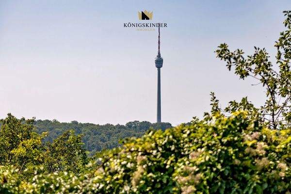 Aussicht_Garten_DSC3954