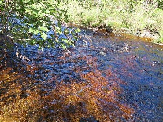 Nova Scotia - 25 Hektar großes Areal mit ehemalige