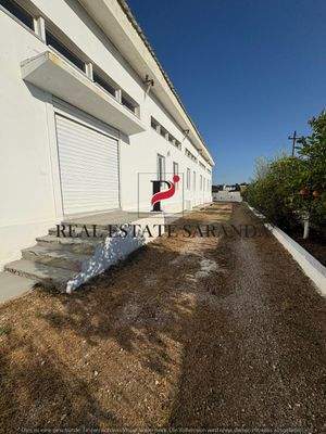 WhatsApp Image 2025-08-27 at 18.00.36.jpeg