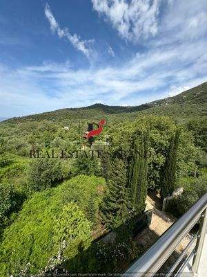 WhatsApp Image 2025-05-11 at 10.27.33-16.jpeg