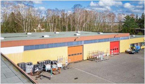 Ellerau Halle, Ellerau Hallenfläche