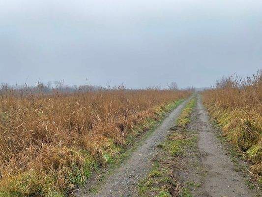 Straße am Grundstück