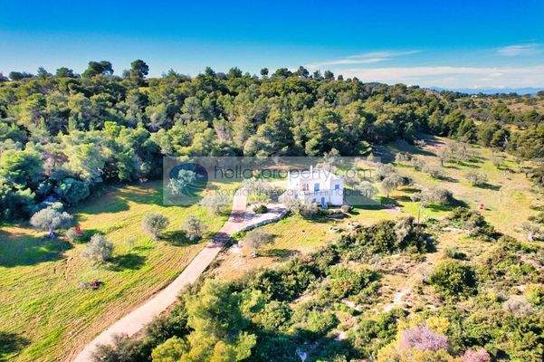 ab3cd6b4a57c424cbbd9950c47148495-original