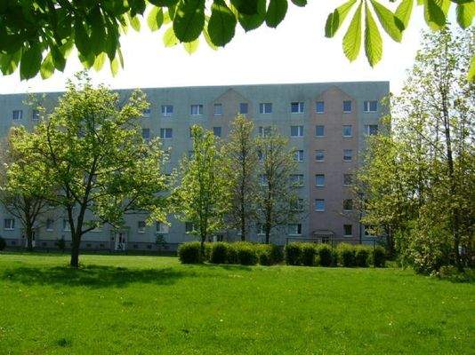 Grünanlage im Hinterhof