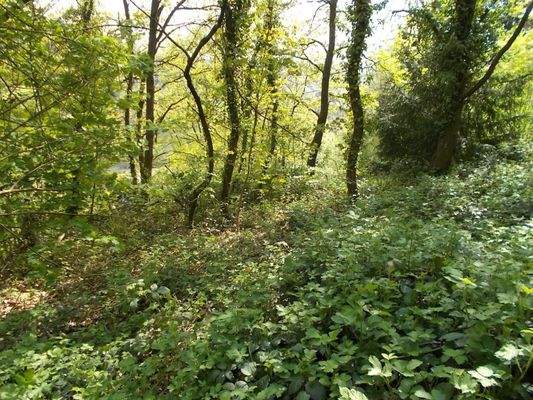 durch das Grundtsück