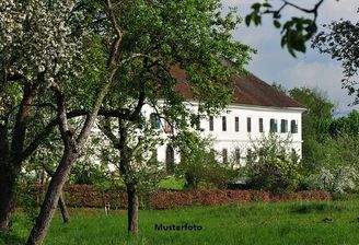 Keine Originalbilder