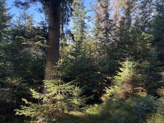 2025-11-05 11.06.57.jpg