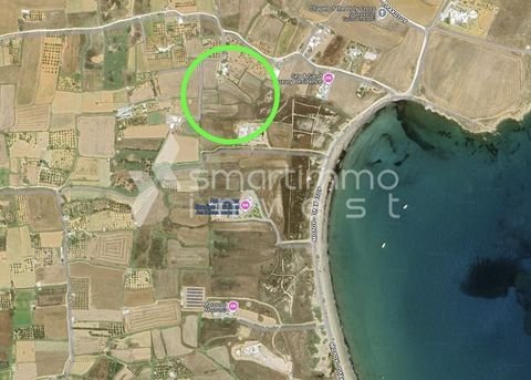 Marmara, Paros Bauernhöfe, Landwirtschaft, Marmara, Paros Forstwirtschaft