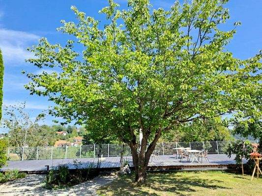 1) Gemeinschaftsgarten und -terrasse