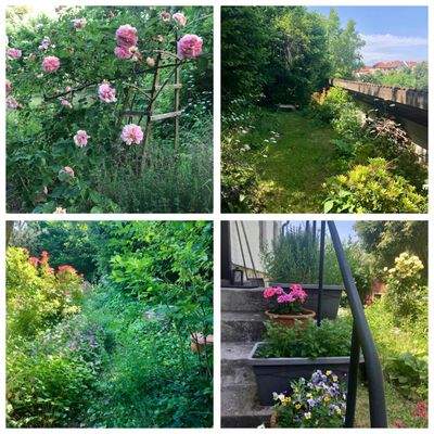 Garten Collage 2