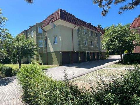 Scheibbs Wohnungen, Scheibbs Wohnung mieten