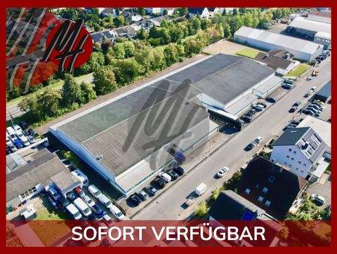 Dietzenbach Halle, Dietzenbach Hallenfläche