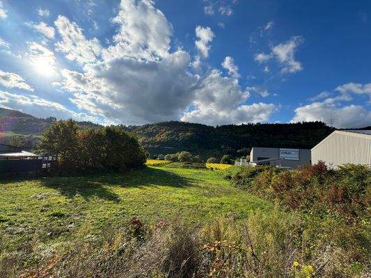 Aussicht vom Grundstück 