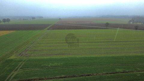 Bassum Grundstücke, Bassum Grundstück kaufen