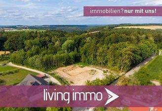 Lufbild von Südwest