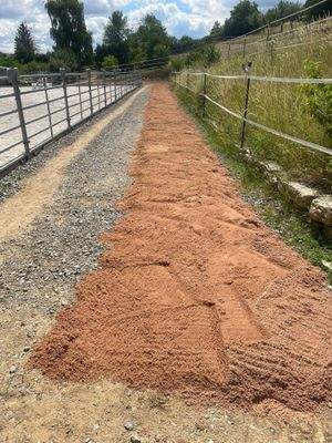 WhatsApp Image 2025-12-16 at 11.23.27.jpeg