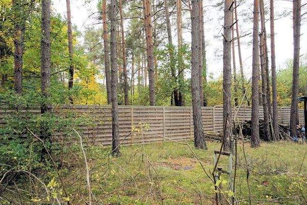 Zaun linke Seite (2).jpg